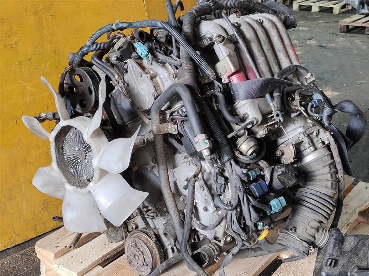Двигатель Ниссан Эльгранд в Нефтеюганске 51254