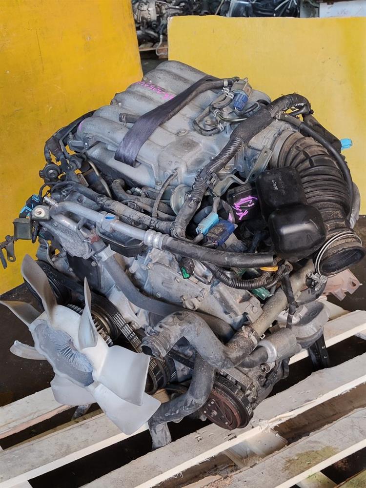 Двигатель Ниссан Эльгранд в Нефтеюганске 51266